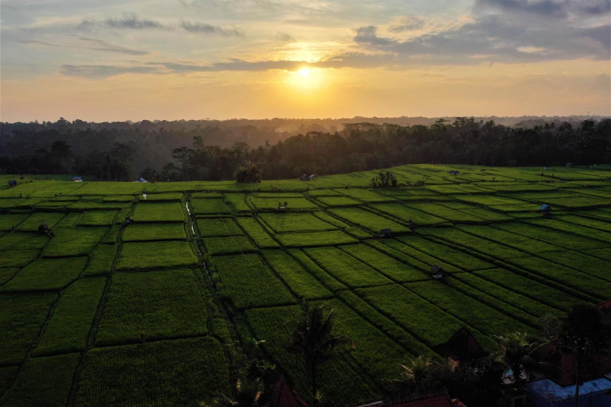Villa The Joglo At Umah Sunset